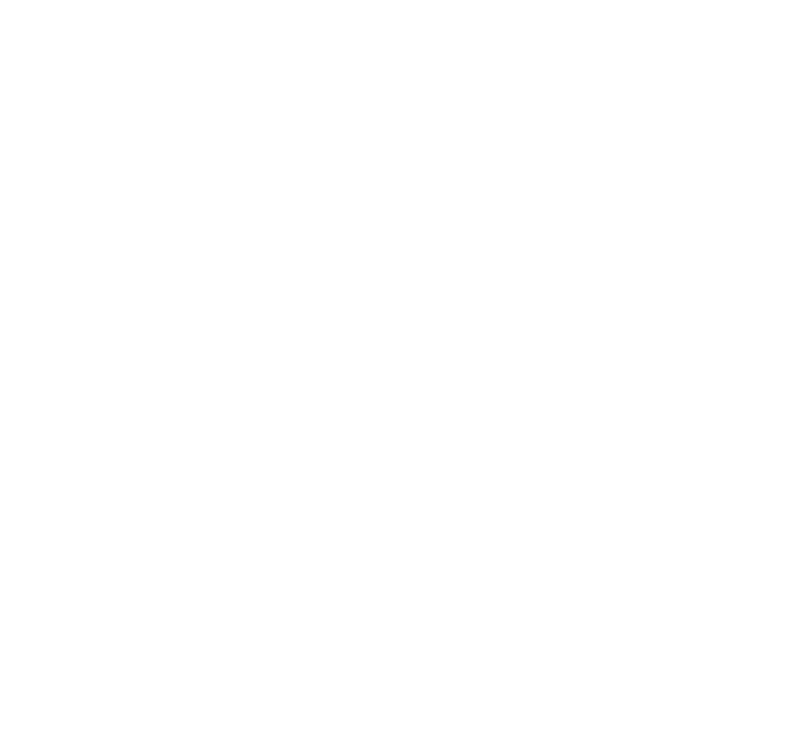 Amir Bodycoach